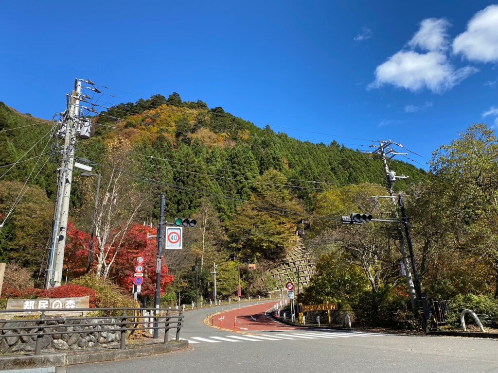 都民の森駐車場入り口付近にて