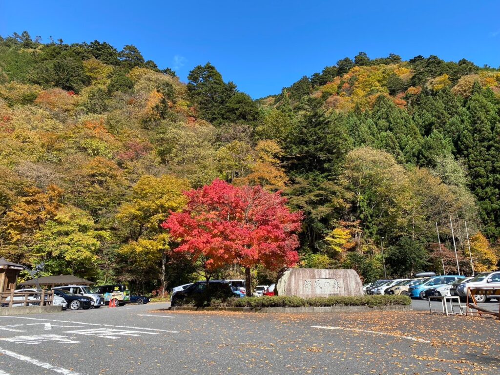 秋に訪れた紅葉の都民の森駐車場