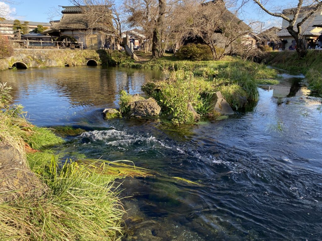 忍野八海の水